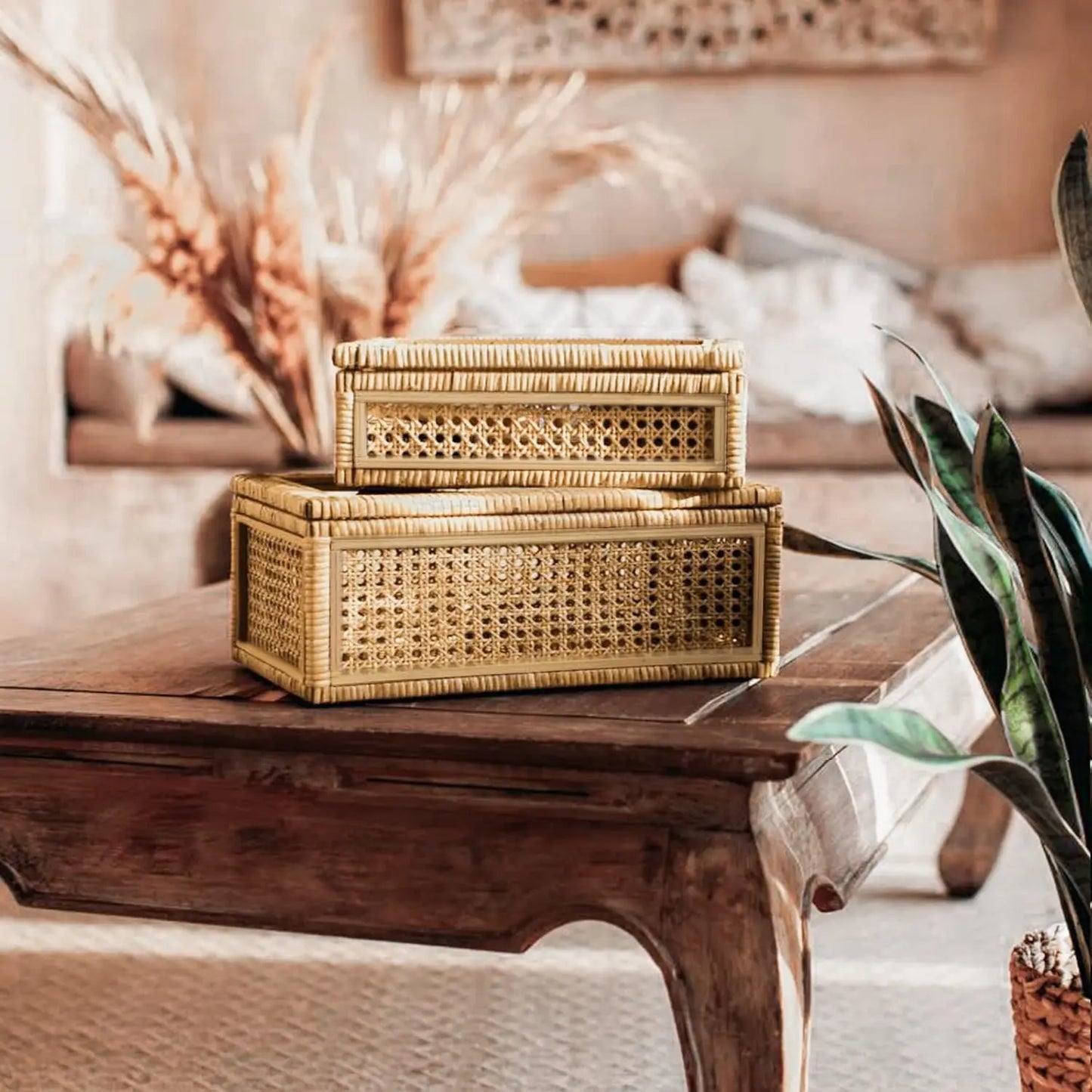Handwoven Rattan Display Boxes with Glass Lids, Set of 2 Rectangular Storage Bins for Home Decor and Organization